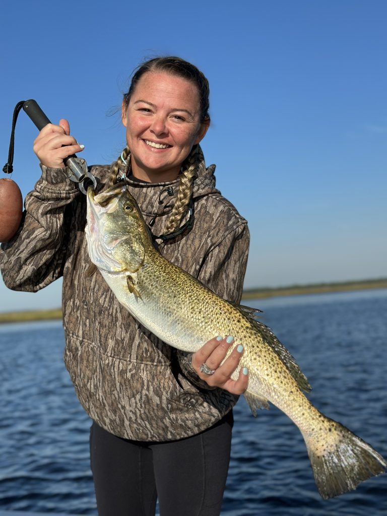 speckled trout lures