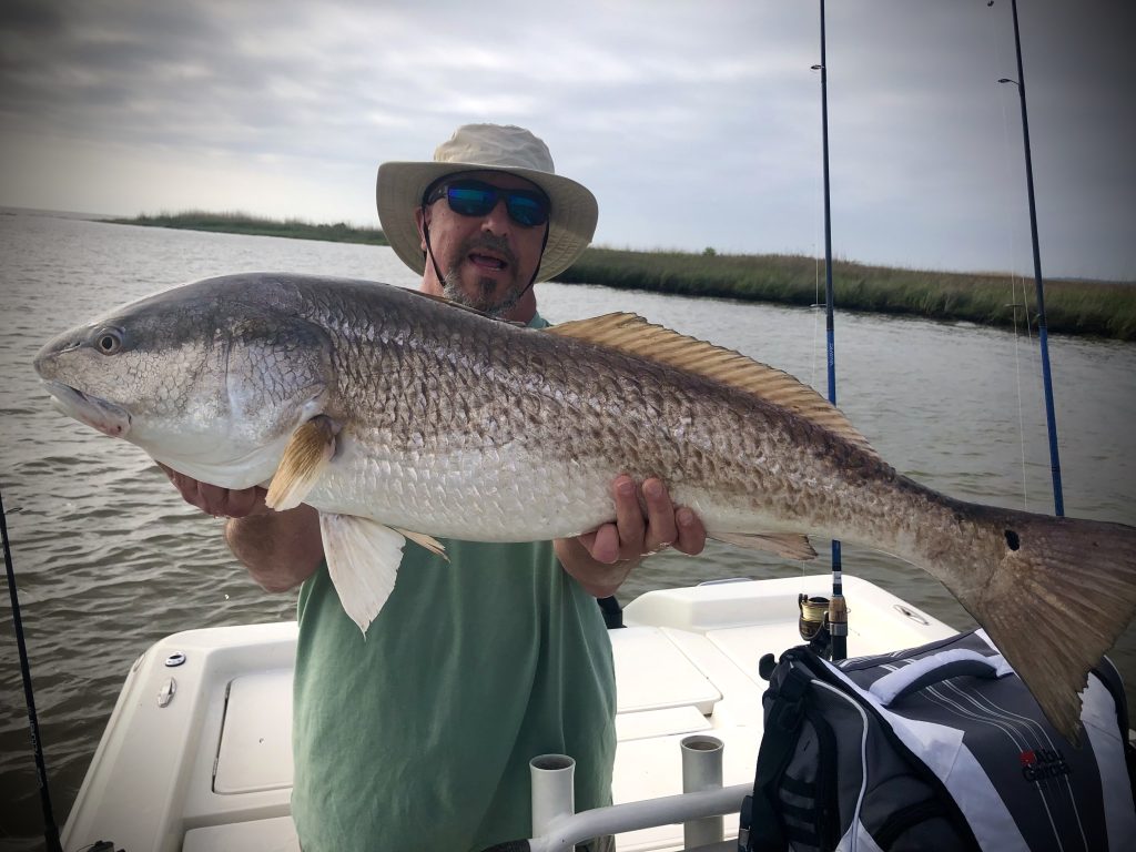 bull redfish