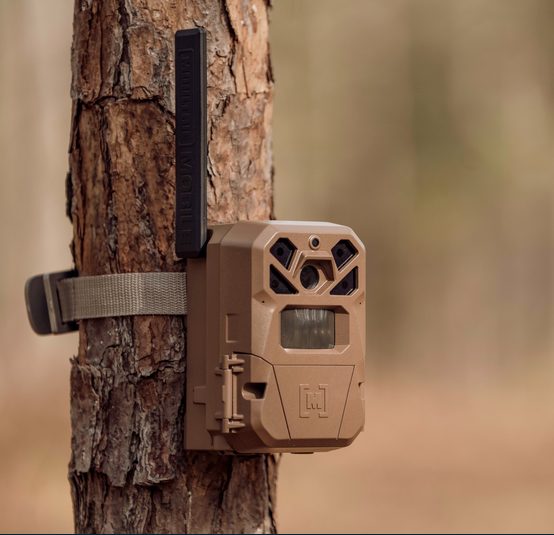 Cellular Trail Cameras