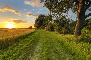 land loans 2025