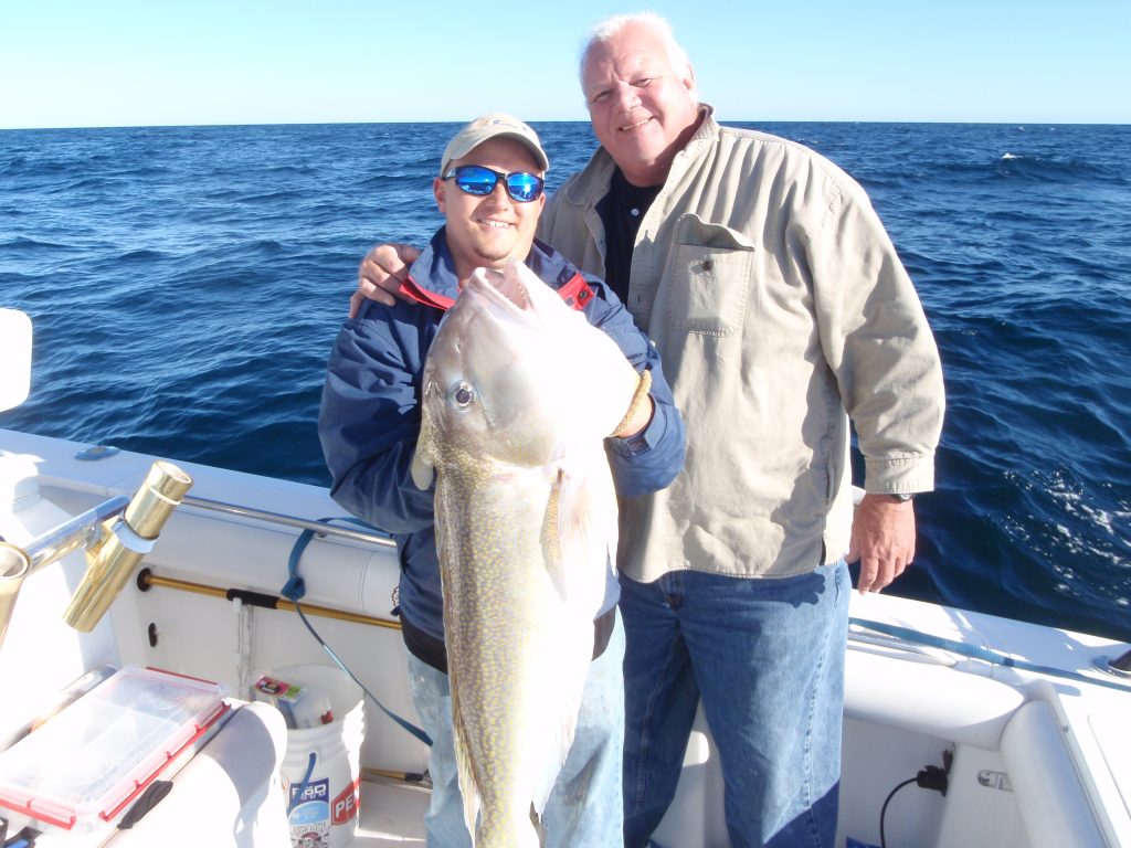 golden tilefish