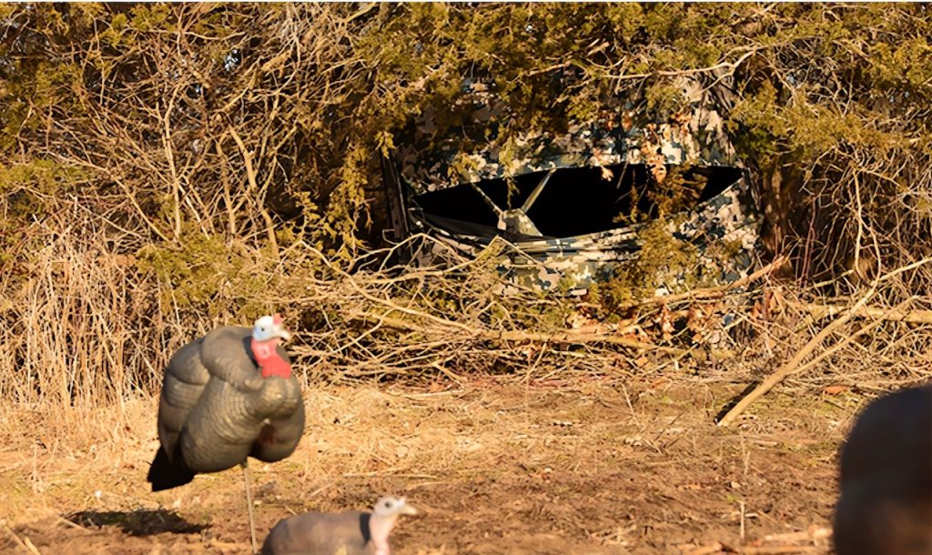 bowhunting turkeys