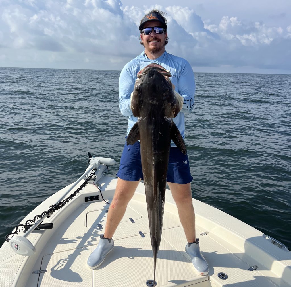 cobia fishing