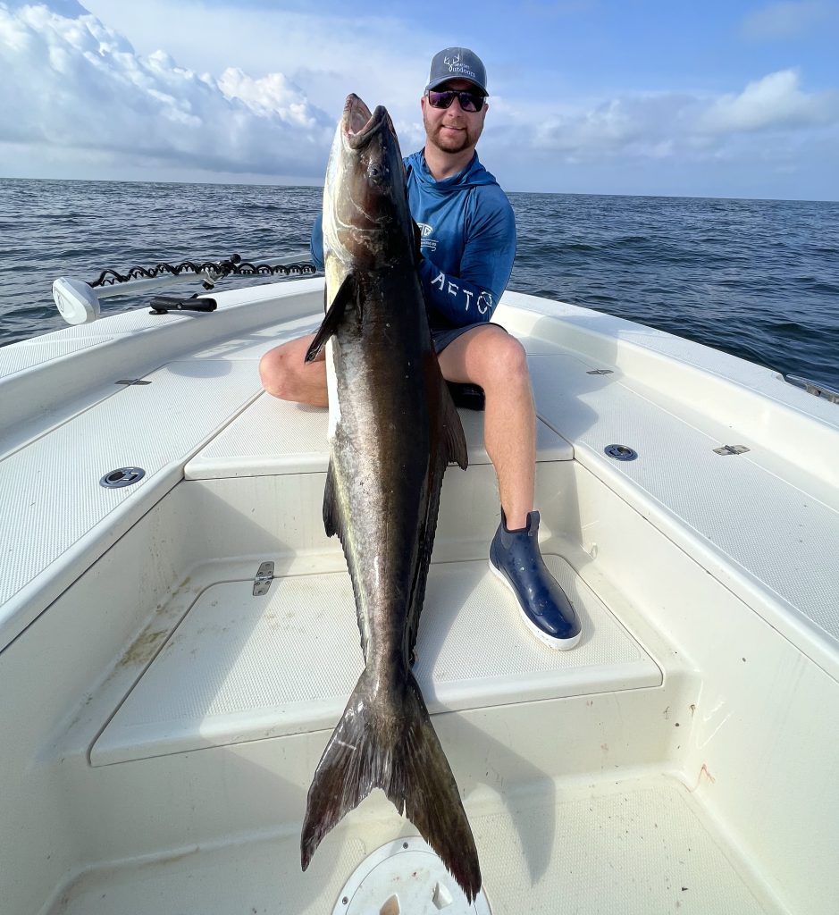 sight fishing cobia