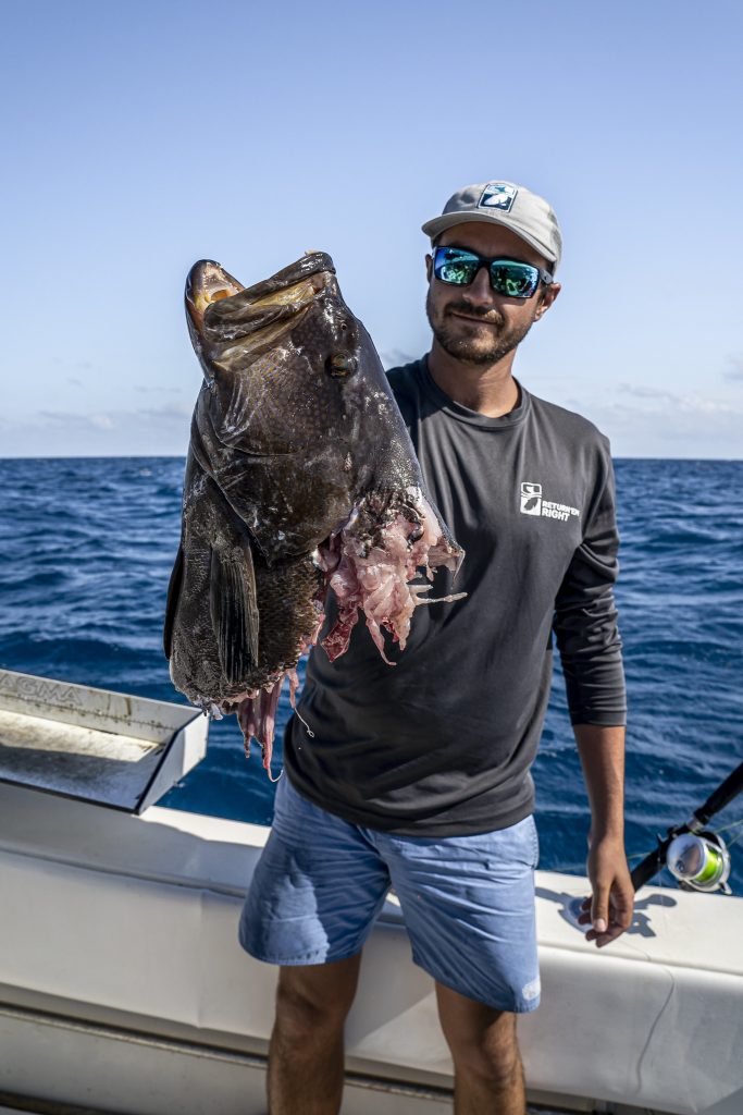 Depredation: Sharks in the Gulf