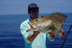 Depredation: Sharks in the Gulf