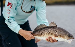 2025 Alabama CCA STAR Tournament