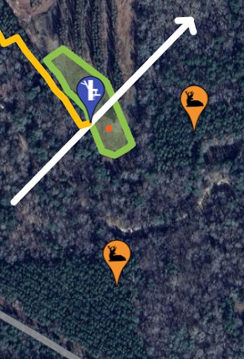 early season deer hunting