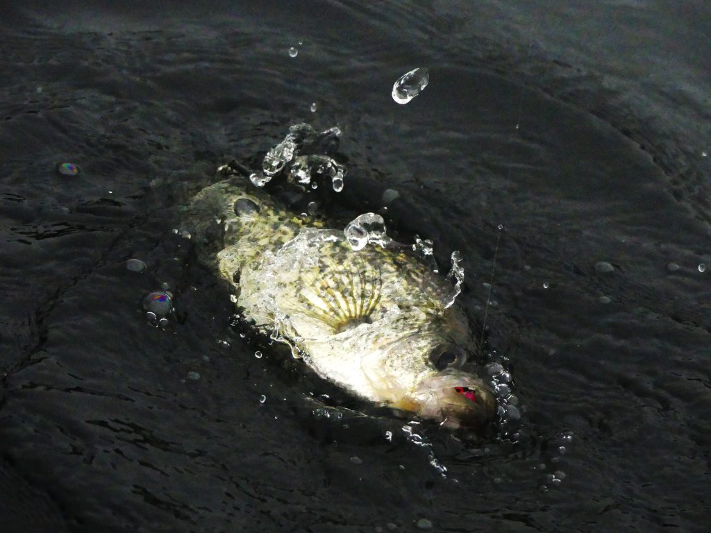 fall crappie fishing