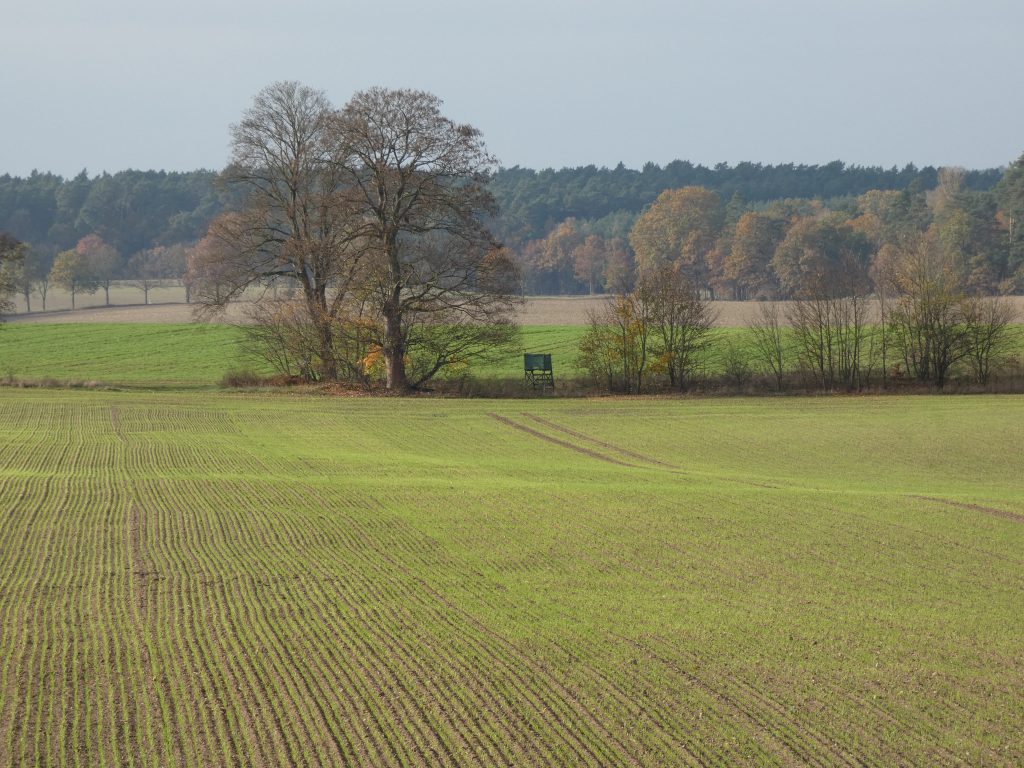 buying hunting land