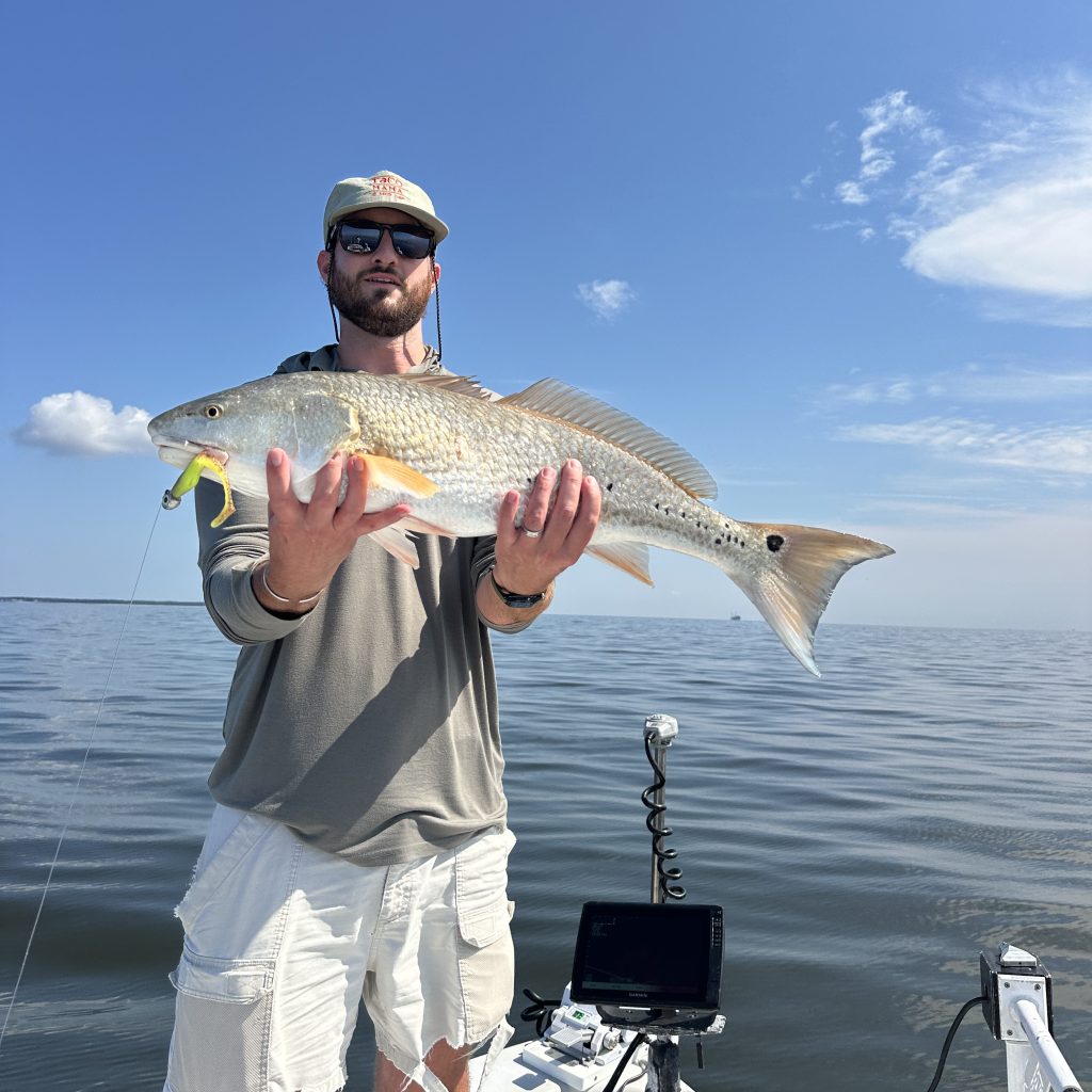 redfish and trout