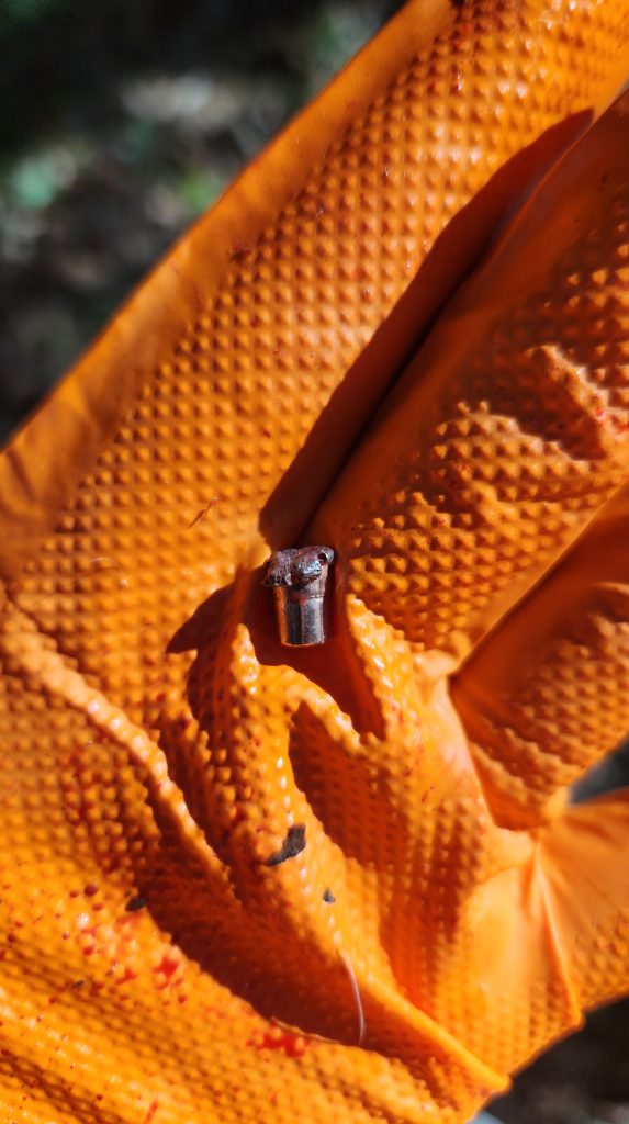 Rimfire Hog Hunting bullet