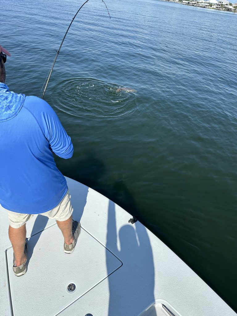 wakebaits for inshore gamefish