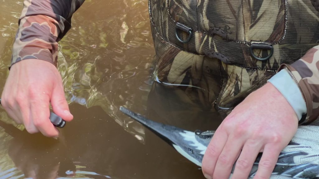 Late Season Duck Hunting decoy