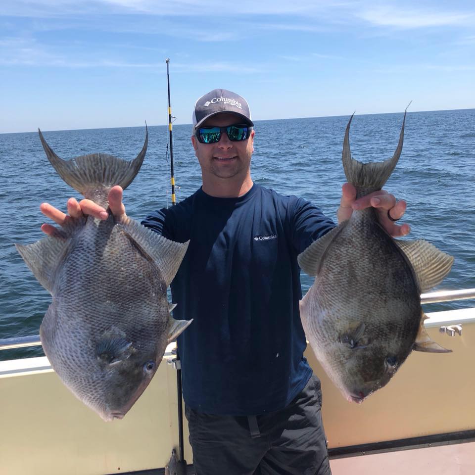 two triggerfish
