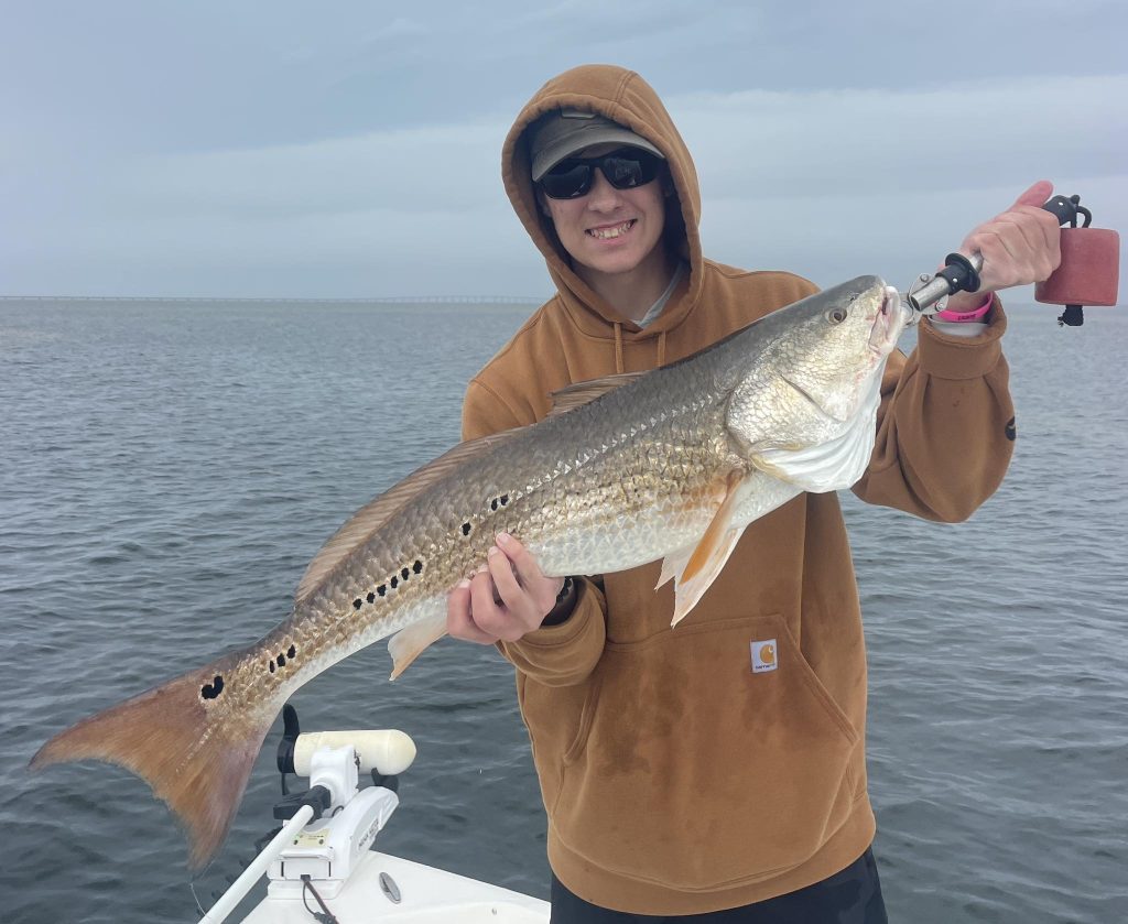 Sight fishing winter redfish