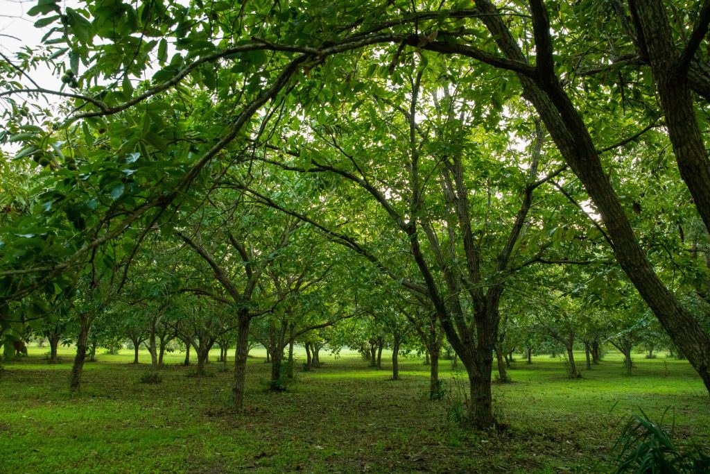 Best Land Loan Lenders Near You