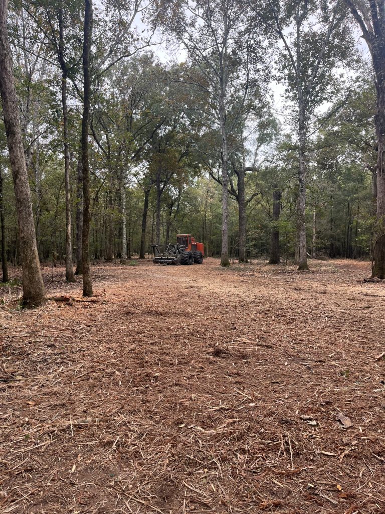 prescribed fire alternative