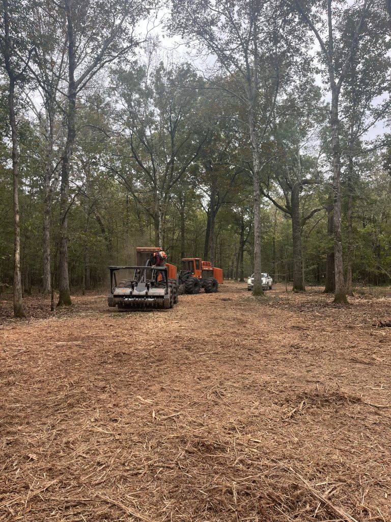 prescribed fire alternative