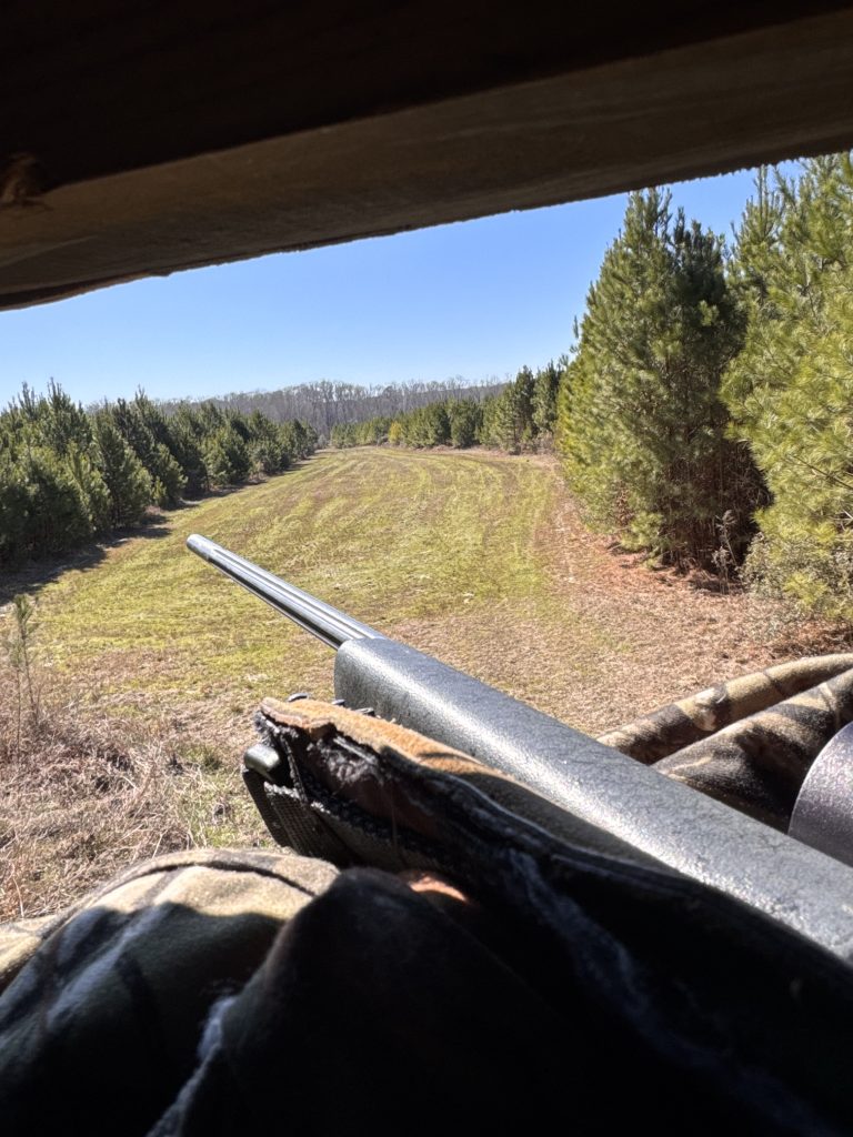 hunter looking over open field