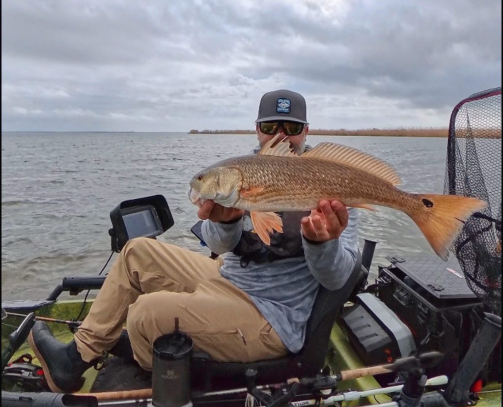 redfish in the winter