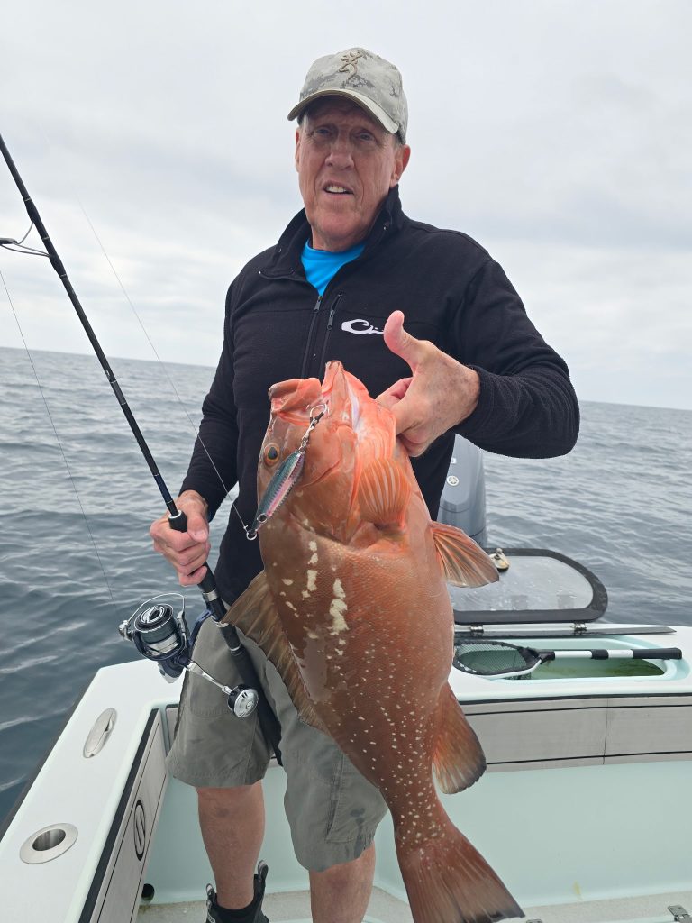 red grouper