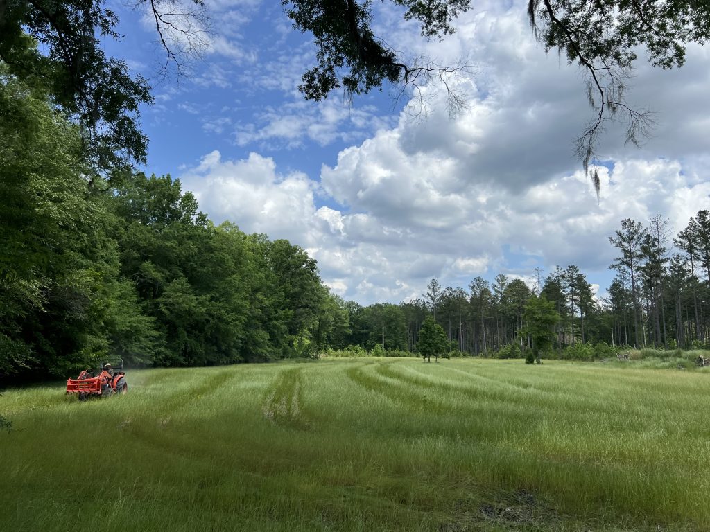 cutting grass on a tractor