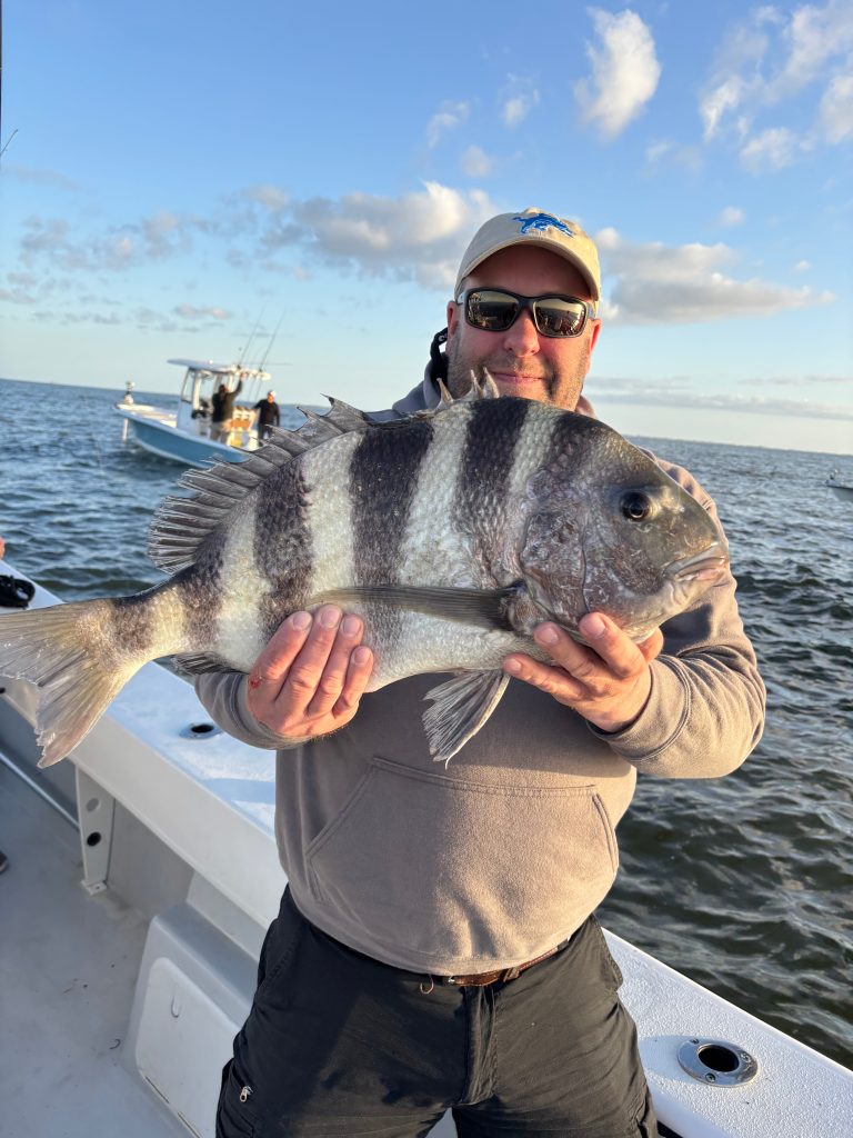 springtime fishing sheepshead