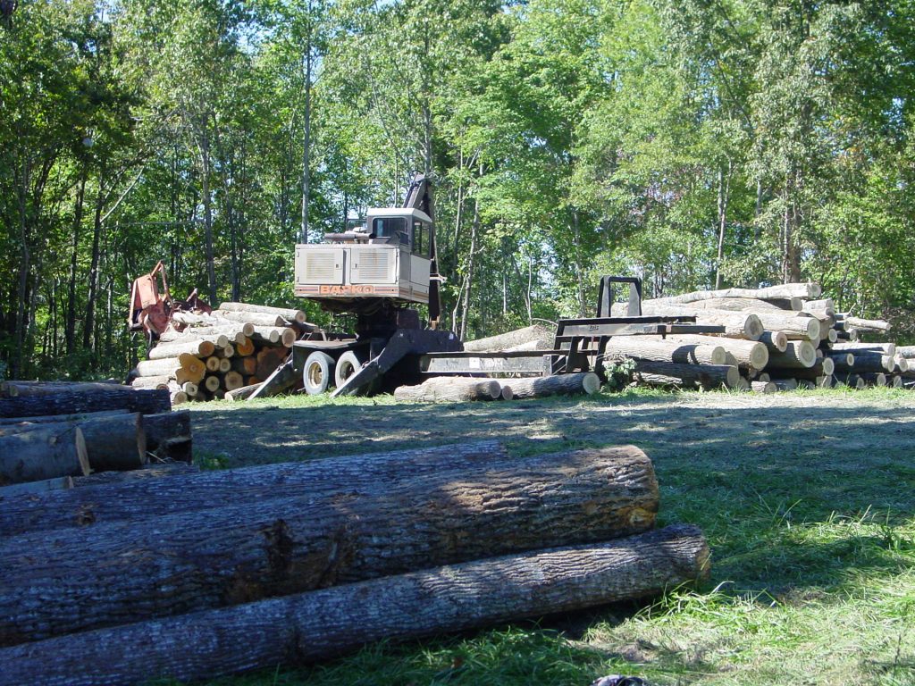 timber being cleared