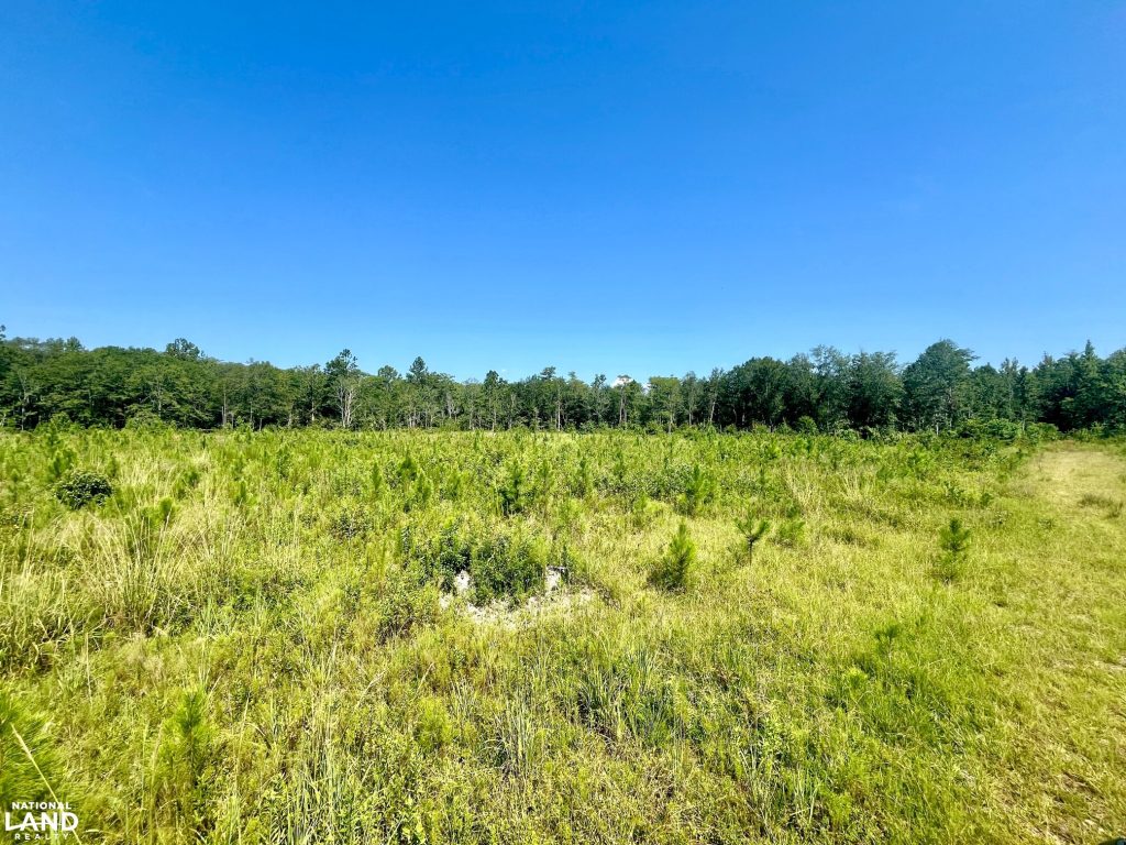 tax benefits of owning land