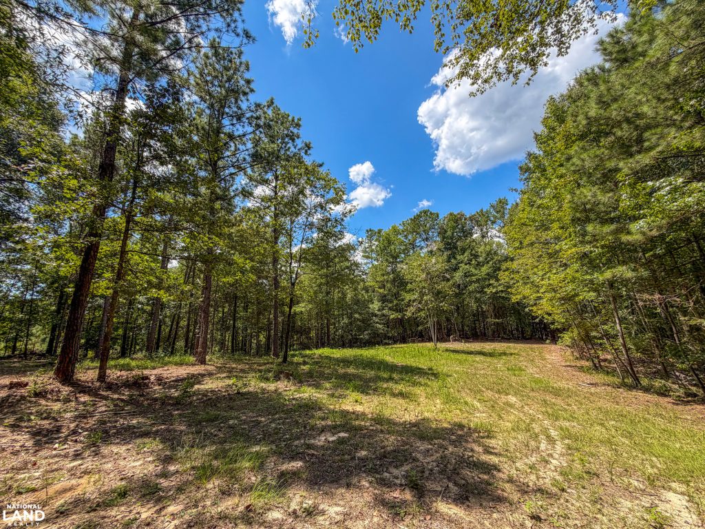 food plot