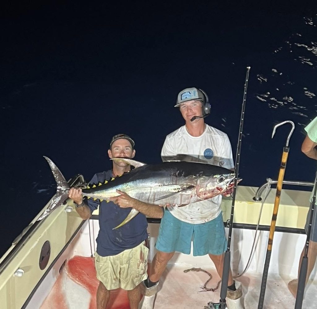 yellowfin tuna