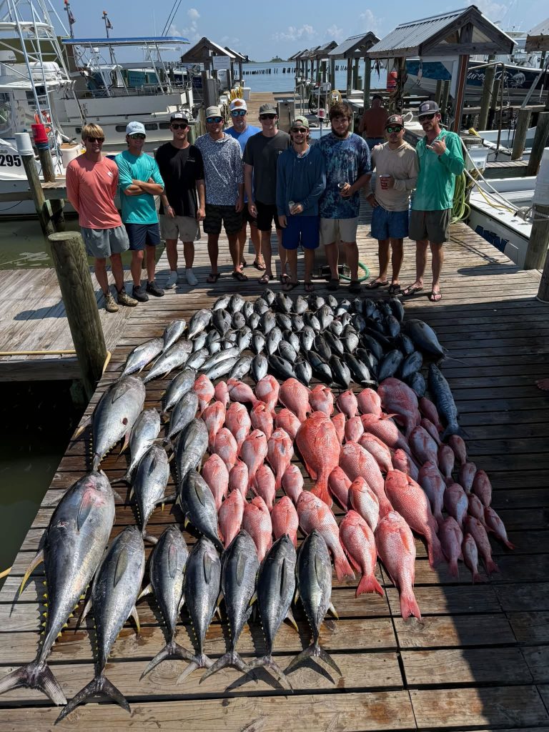 Live Bait For Tuna Fishing