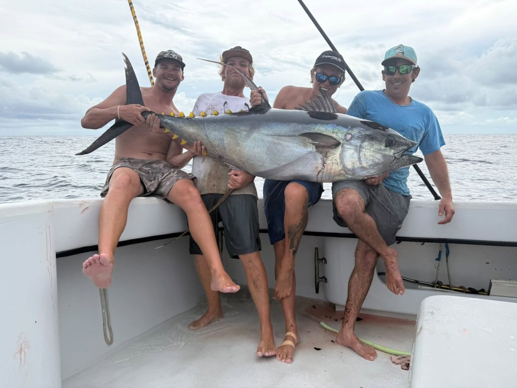 Live Bait For Tuna Fishing