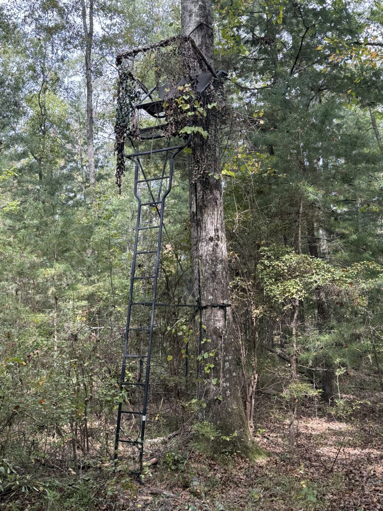 2-person ladder stand